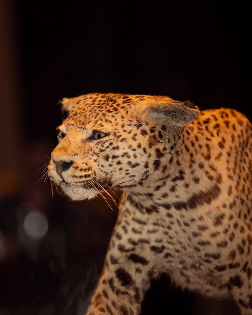 Verso Restaurante - Detalhe decoração